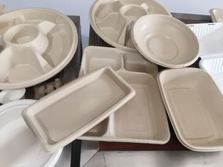 High-Volume Automatic Spray Coating Line for Wood Door Manufacturing - Precision Finish Solution