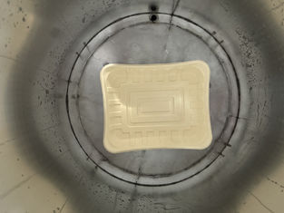 High-Speed Automatic Rotary Coating Line for Pulp Molded Food Packaging Interior Coatings