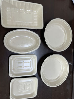 12-Stasyon Pulp Molding Bagasse Masa Tablosu Kaplama ve Kurutma için Spin Kaplama hattı Entegre Üretim Sistemi