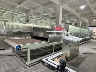 Yiyecekler için yüksek hassasiyetli mikrodalga kurutma ve sterilizasyon hattı. Kalite ve verimlilik için özel tasarlanmış.