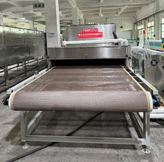 Yiyecekler için yüksek hassasiyetli mikrodalga kurutma ve sterilizasyon hattı. Kalite ve verimlilik için özel tasarlanmış.