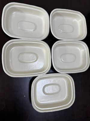 24 İstasyonlu Yüksek Hızlı Selüloz Kalıplı Ambalaj Kaplama Hattı