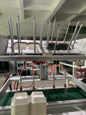 Pulp Kalıplama için Otomatik Tek Geçişli Yazıcı - Entegre Yükleme ve Baskı Çözümü