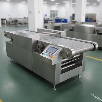 Stainless Steel Conveyor Belt Transfer Makinesinde, verimlilik için otomatik işlem yapılır.