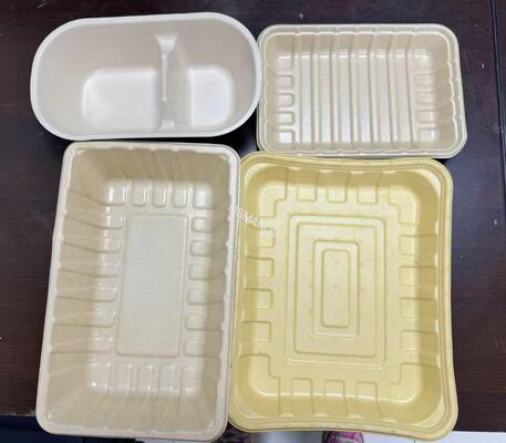 Hot Water Oil High Temperture Proof Food Safety Tableware Tray Bowl Internal Coating Production Line For Pulp Molding